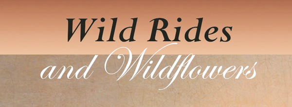 Wild Rides And Wildflowers Philosophy And Botany With Bikes
