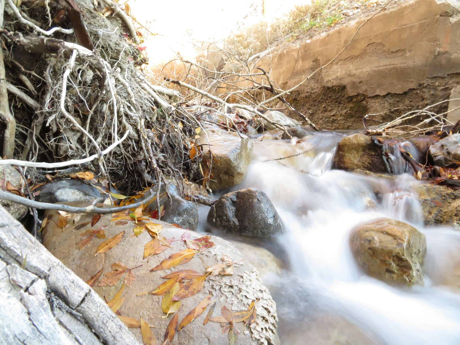 Flowing mountain stream with rocks and fallen leaves in autumn, natural outdoor scenery at UVU Review urban environment, high school or college setting, educational journalism, Utah Valley University campus life.